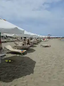 Gold Island Selected - 94