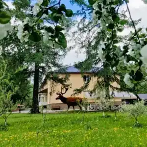 Staroladozhskaya Dacha - 69