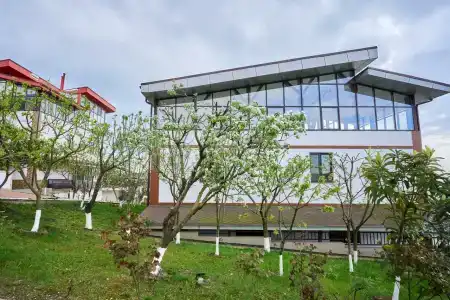 Bestuzhev Prodzhekt - 49