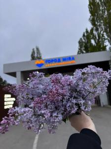 Otel Gorod Mira  Resort & Spa Miracleon 5 - 69
