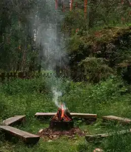 Kupolnaya baza Royal Forest - 28
