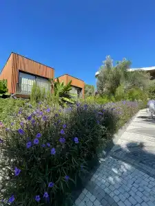 Unique Life Style - 44