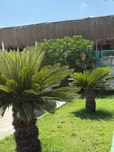 Innvistas Belek - 46