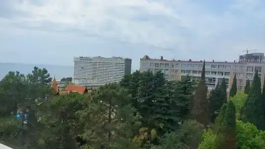 Светлана Плюс - 33