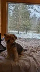 Polyana Solntsa Tourist base - 54