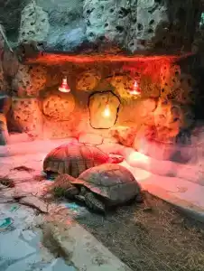 Grand & Spa Priboy - 57