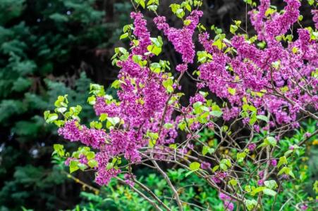 Belarus Sanatorium - 28