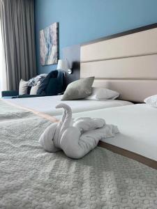 Riu Dubai Beach Resort - All Inclusive - 6