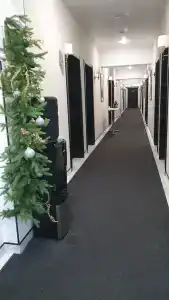 Grand Way Kurortny Park - 9