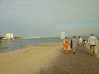 Brown Dead Sea - 36