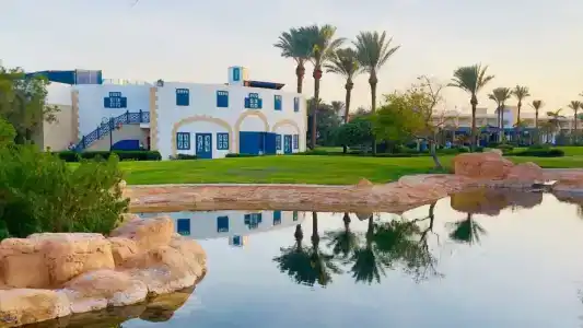 Palm Royale Resort - Soma Bay - 86