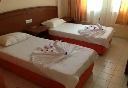 Elegant Baronessa Apart - 28