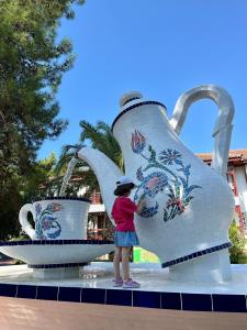 Ali BEY Club & Park - 24