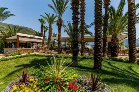 Aqua - All Inclusive - 31