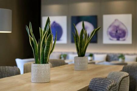 AC Ciutat de Palma - 44