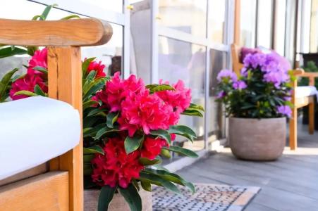 Grand Wellness Novahovo & Spa - 38