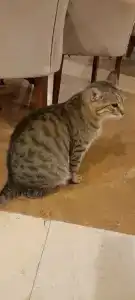 Champion Holiday Village - All Inclusive - 57