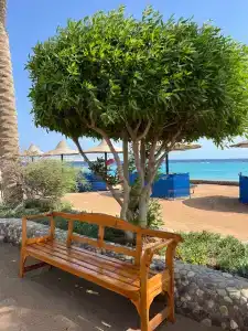 Arabia Azur Resort - All Inclusive - 26