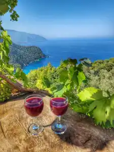 Kabak Misafir Evi - 16