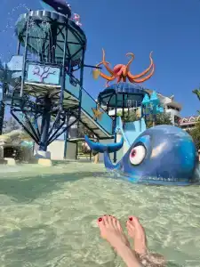 Sherwood Dreams Resort - 28