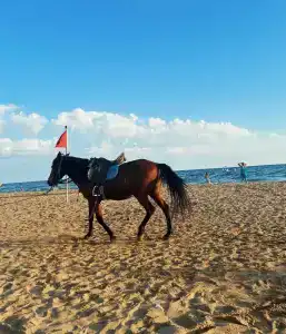 Linda Sunny Beach & Spa-Ultra All Inclusive - 48