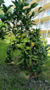 Wellness Park All-Inclusive - 26