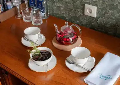 Otel RODINA Grand & SPA Irkutsk 5* - 66
