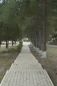 Morskaya Volna Guest house - 52