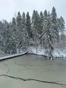 Solontsovo - 72