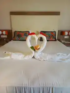 Calimera Hane Garden - 12