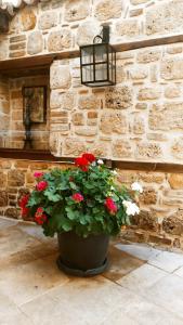 1207 Special Class - 43