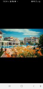 Sunny Fort Apartment - 78