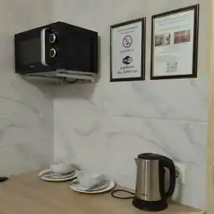 Samsonov Mini-on Stachek Avenue - 37