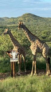 Windhoek Game Camp - 1