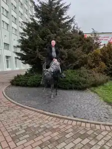 Горизонт - 48