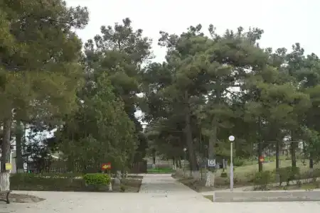 Morskaya Volna Guest house - 20