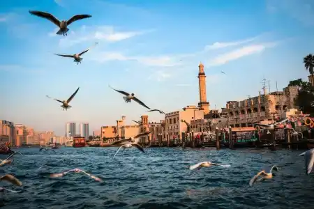 Rove City Centre, Deira - 48