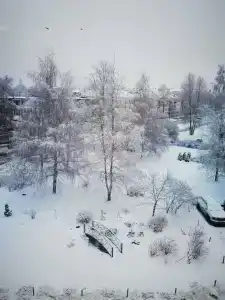 Park Inn Veliky Novgorod - 77