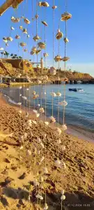 Sharm Resort - All Inclusive - 32