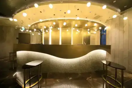 Quintessa Tokyo Ginza - 29