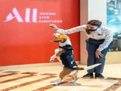 ibis Bengaluru Hosur Road - An Accor Brand - 17