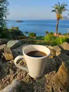 Yasmin Bodrum Resort - 20