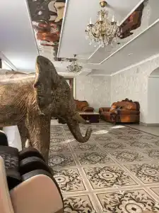 Gostinichny Kompleks "zolotoy Slon" - 41