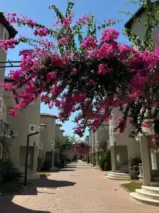 Sunset Beach Club Villas - 4