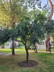 Kimeros Park Holiday Village - Ultra All Inc. Kids Concept - 47