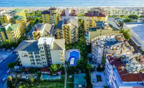 Kleopatra Royal Palm - 20