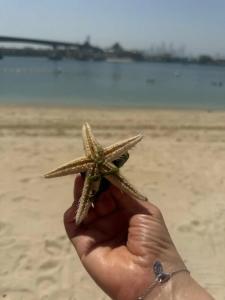 Atlantis, The Palm - 49