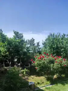 Dom otdyha Istok - 27