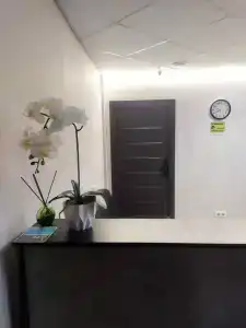 Tipichnyy Piter - 45