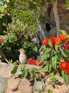 Sunrise Aqua Joy Resort - 80